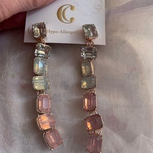 Charming Charlie Rose Gold Pastel Earrings